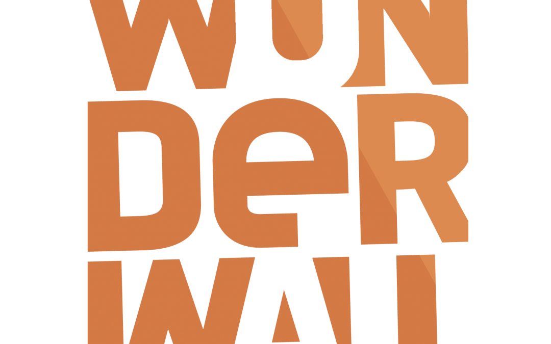Sumesh Lal — Wonderwall Media — India